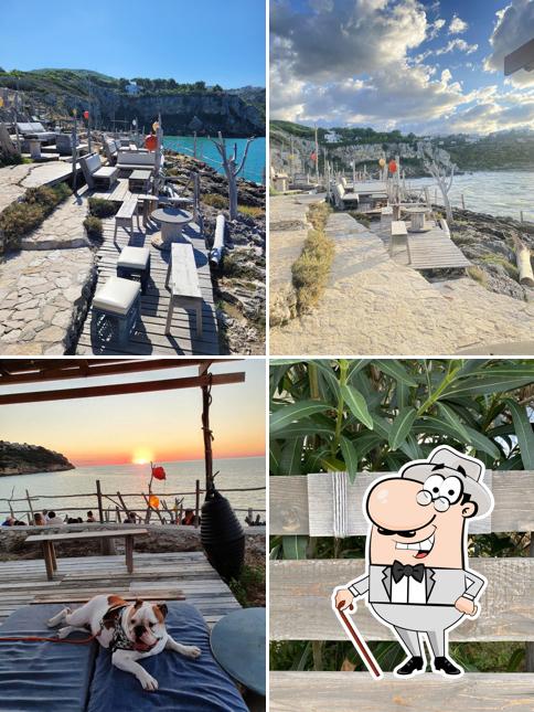 Puoi goderti l'aria fresca dal dehors di Al Trabucco Da Mimì