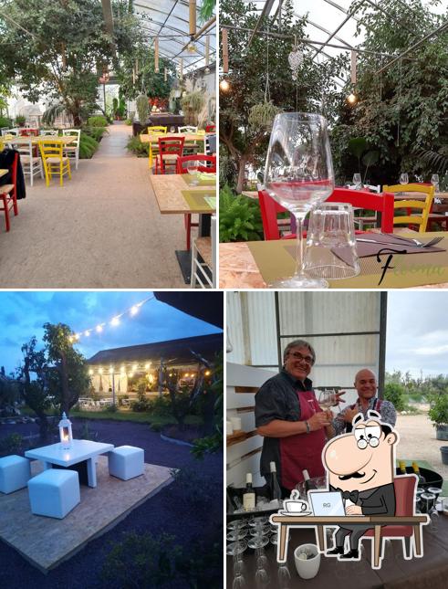 Dai un'occhiata agli interni di Floema Serra Bistrot