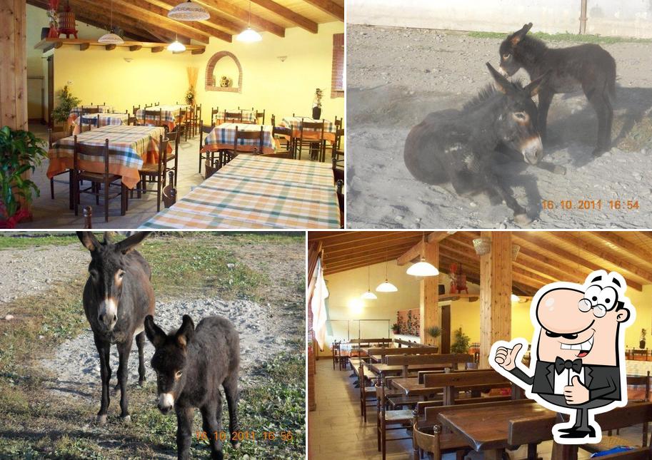 Ristorante Il Cerro