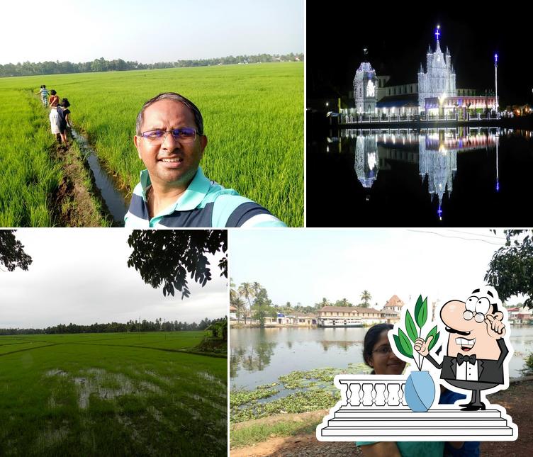 Check out how Maliampurackal Home Stay looks outside