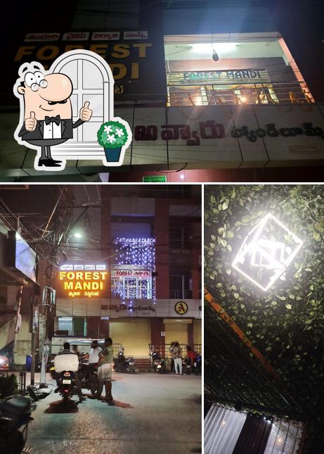 This is the image depicting exterior and interior at FOREST ARABIC MANDI