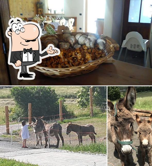 Dai un'occhiata agli interni di Ristorante Agriturismo San Gallo