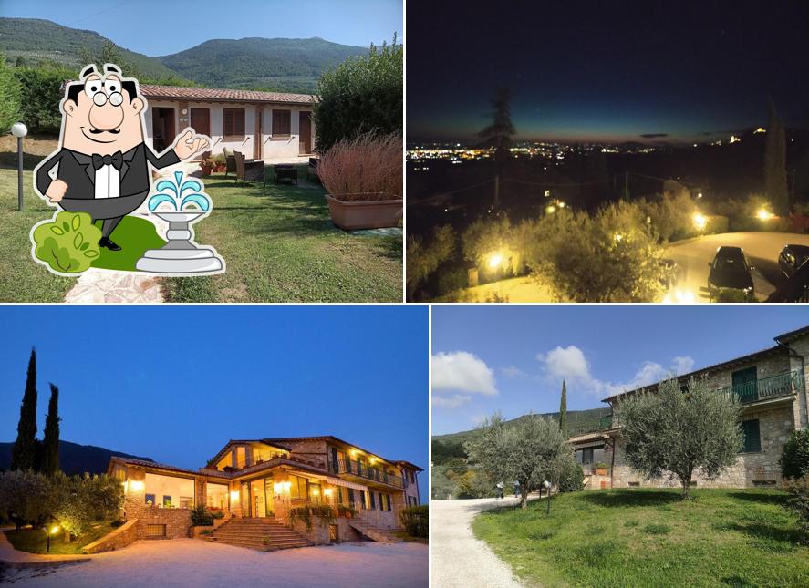 Guarda gli esterni di Agriturismo Colle Degli Olivi SNC