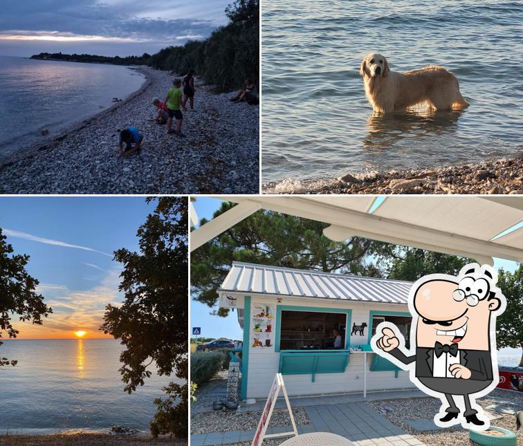 Goditi la vista dall'area esterna di Dog Dreams Beach and Bar