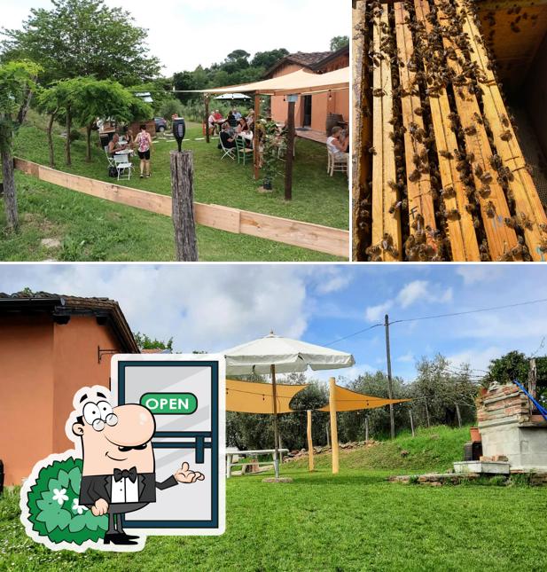 Puoi goderti l'aria fresca dal dehors di Agriturismo Il Casotto