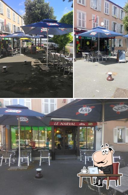 Le Narval