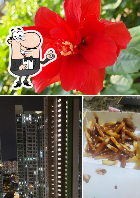 You can get some fresh air outside Rolls Mania