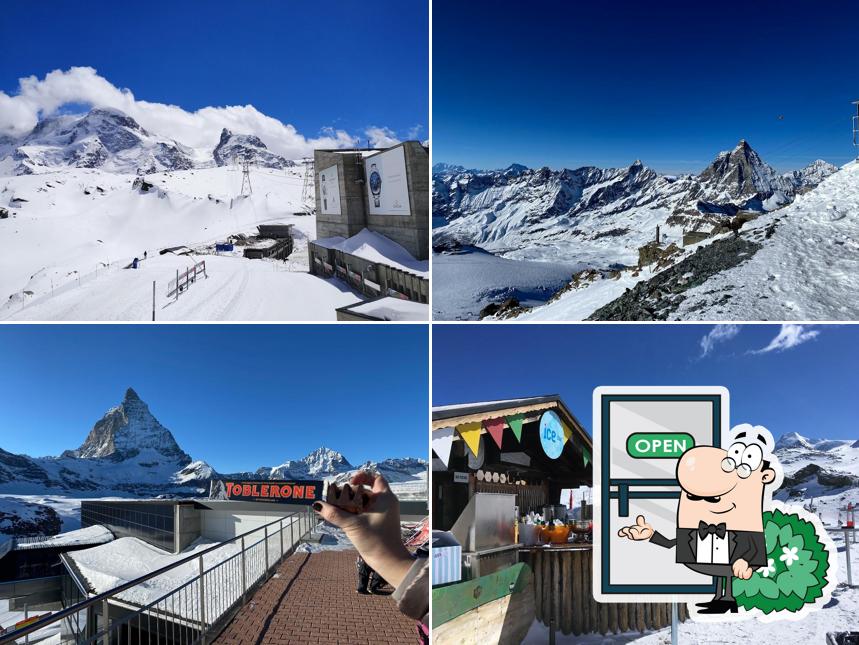 Curiosa tra gli esterni di Icebar