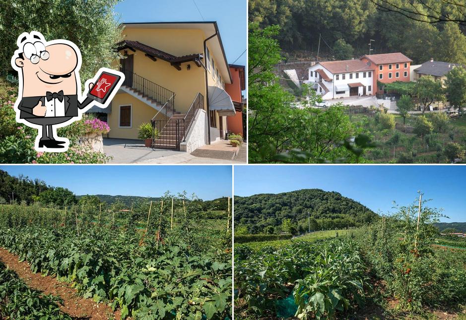 Gli esterni di Agriturismo Colli Berici