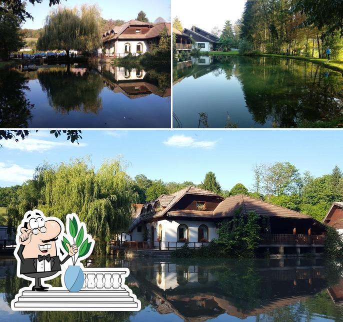 Guarda gli esterni di Stanislava Hribar - Nosilka dopolnilne dejavnosti na Kmetiji- Turistična kmetija Hribar