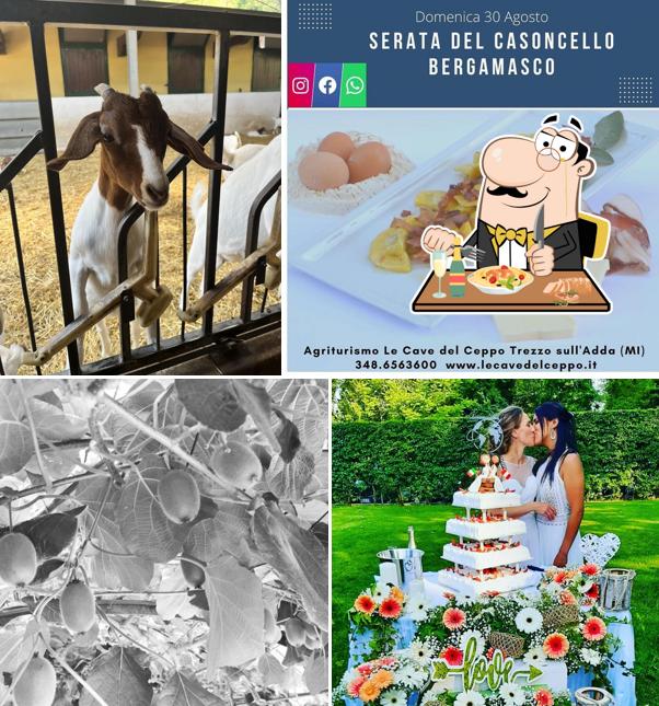 Cibo al Le Cave del Ceppo