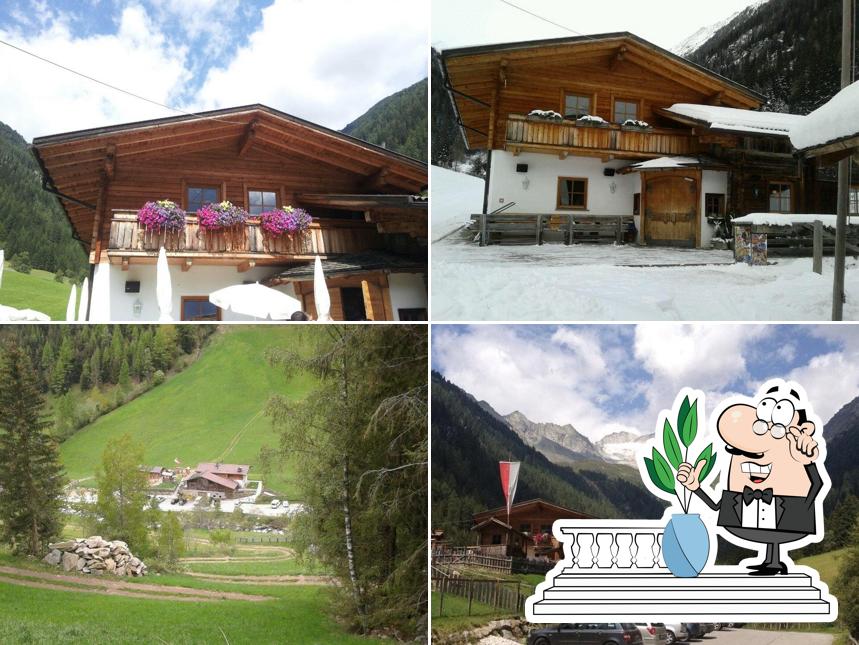 Ledohöüsn Jausestation und Alm