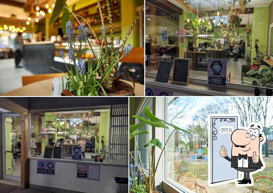 Ecco una foto di Casetta Zebrina