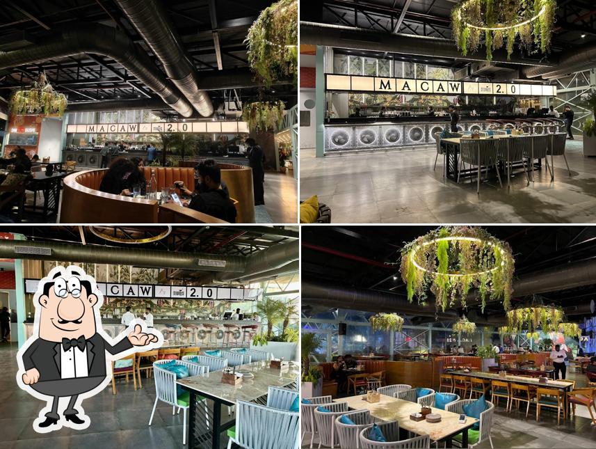 Macaw by Stories- OMR, Chennai