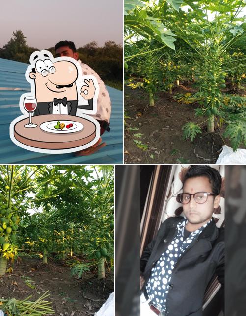 Meals at Milan Point Restaurant