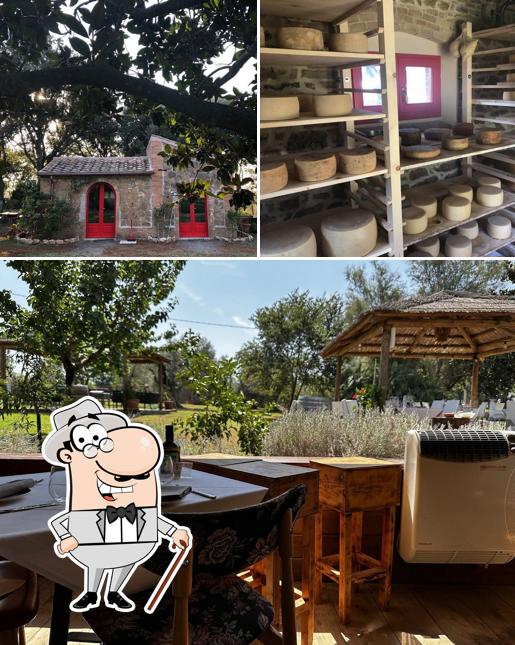 Puoi goderti l'aria fresca da seduto all'esterno di Osteria Magona