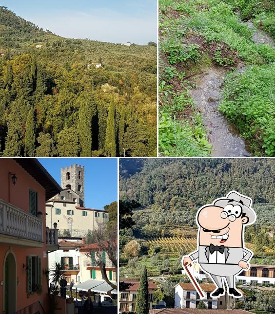 Guarda gli esterni di Bar Lenzi