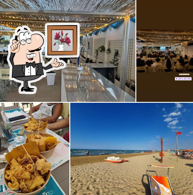 Lido Il Delfino n°3