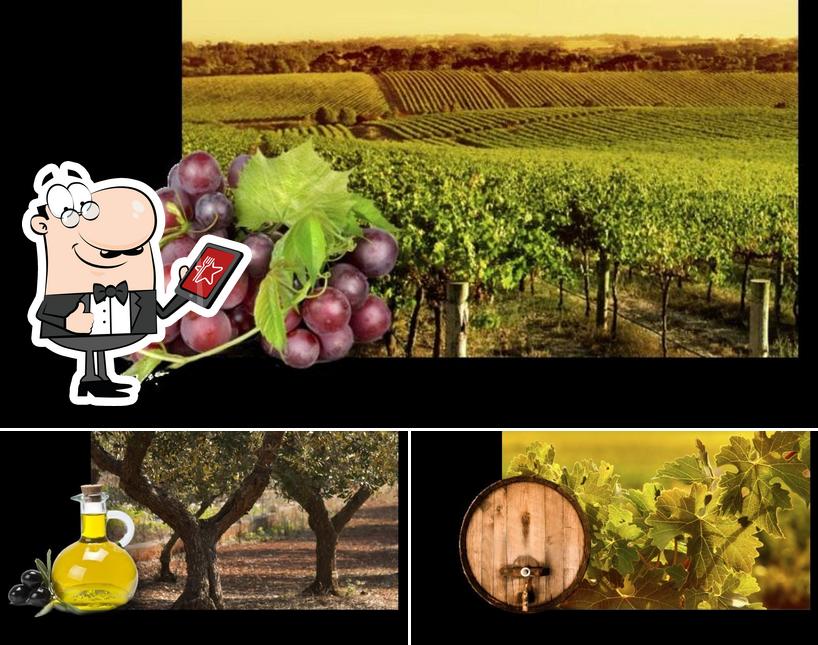 Gli esterni di Agriturismo Vegher