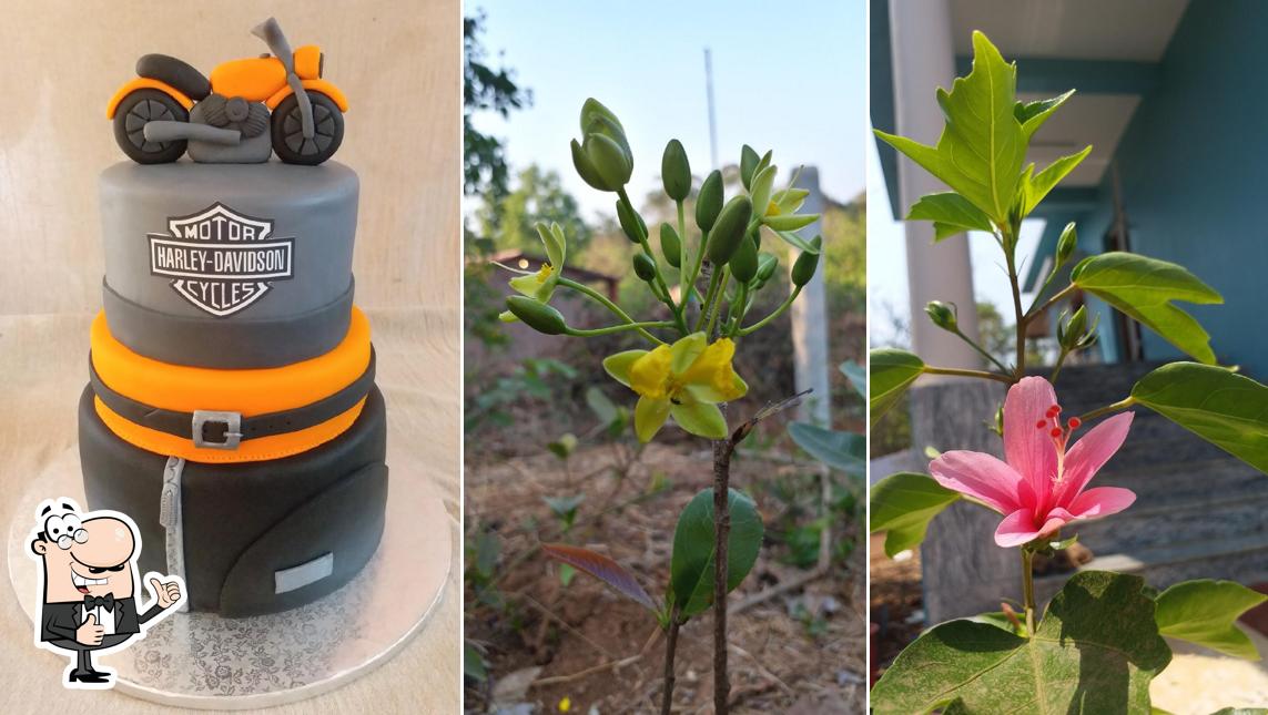 See this picture of Forte House Goa