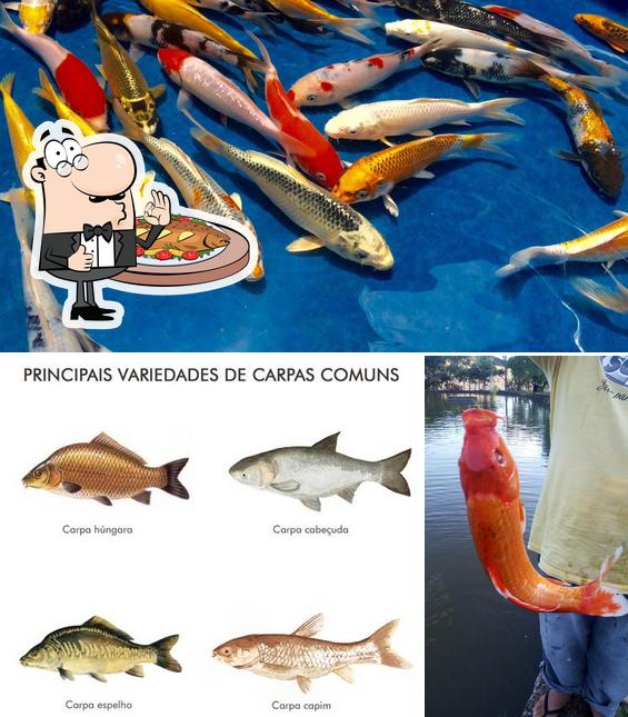 Pesque Pague Chuape
