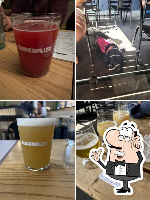 Découvrez l'intérieur de Superflux Beer Company