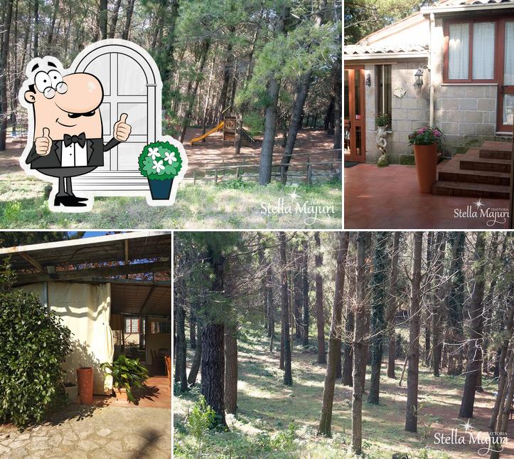 Trattoria Stella Majuri