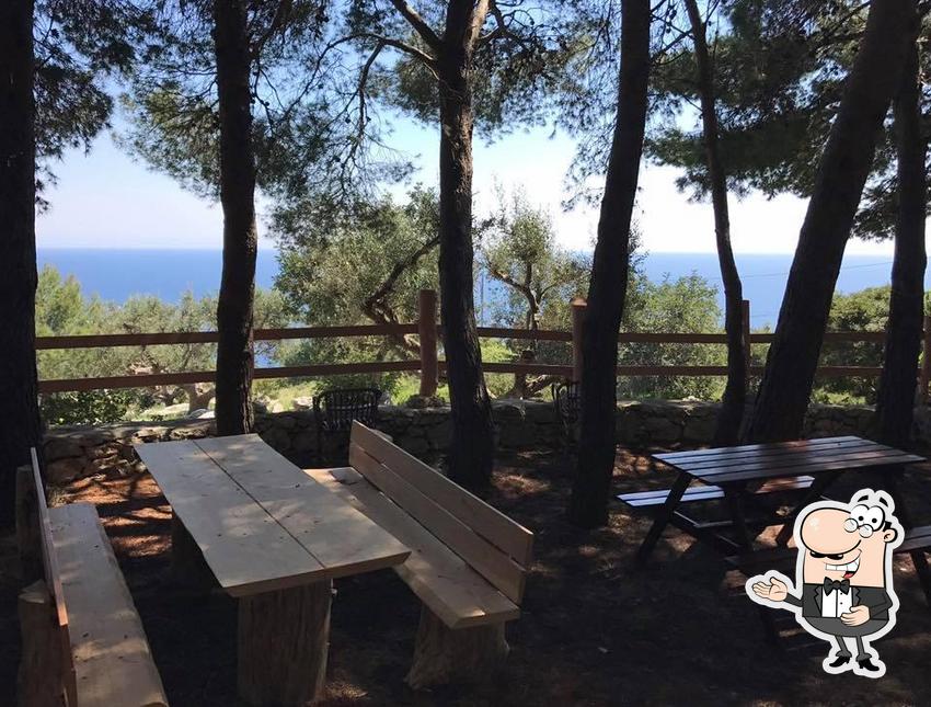 Guarda questa foto di Chiosco Bar La Pineta