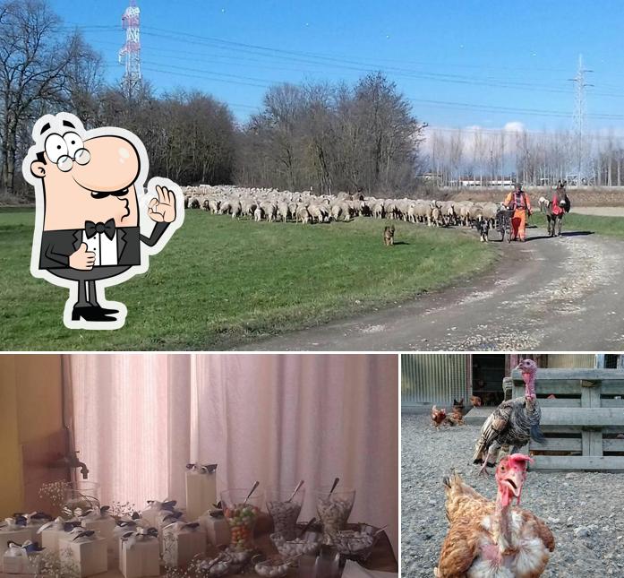 Guarda la immagine di Agriturismo Cascina Carolina