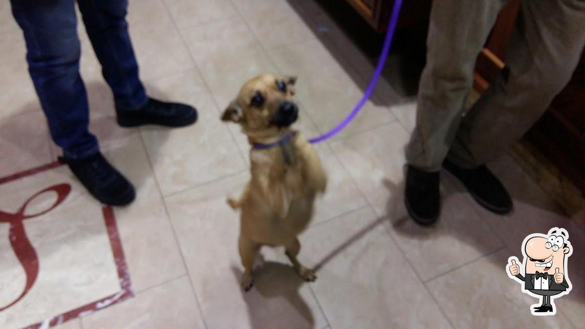 Guarda questa immagine di Bar Lanzillo dal 1956