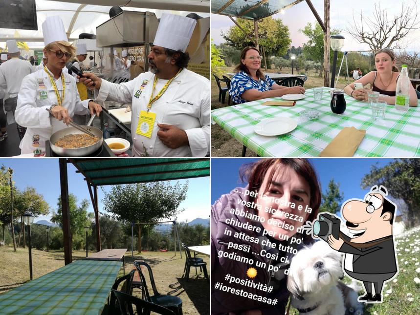 Agriturismo La Collina degli Olivi