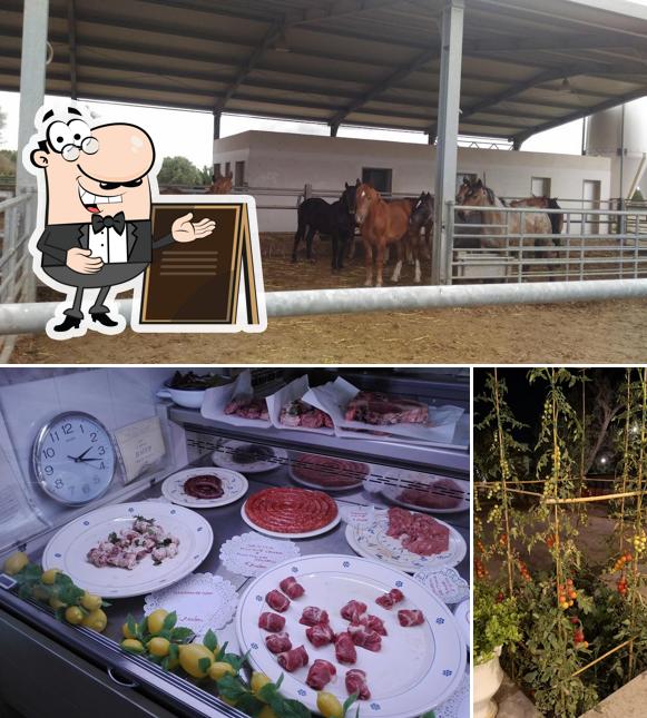 Guarda gli esterni di Masseria Palmento