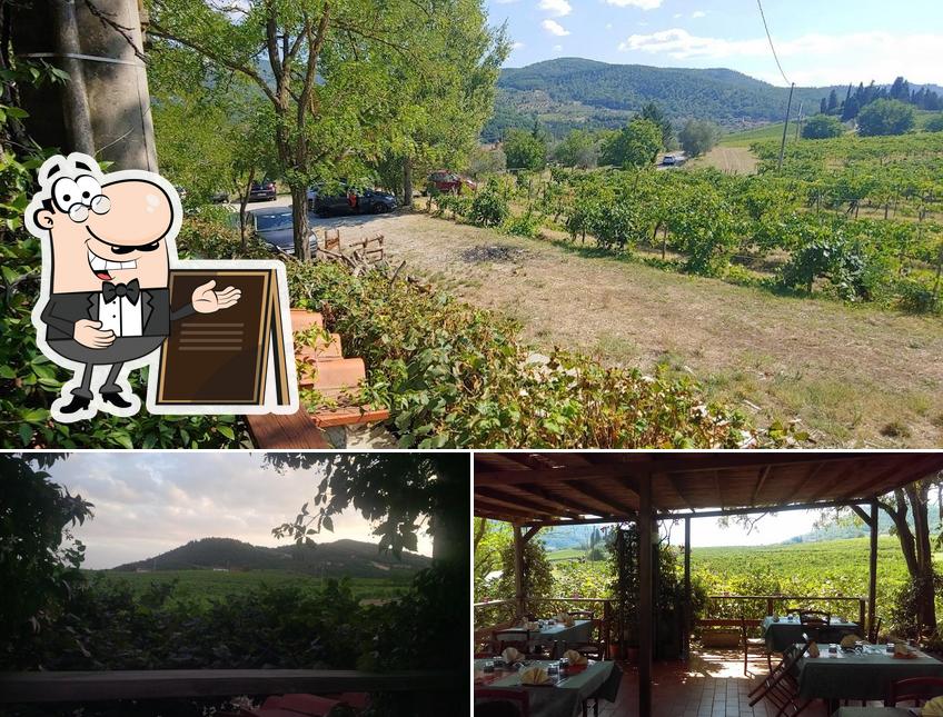Goditi la vista dagli esterni di Osteria la Casellina