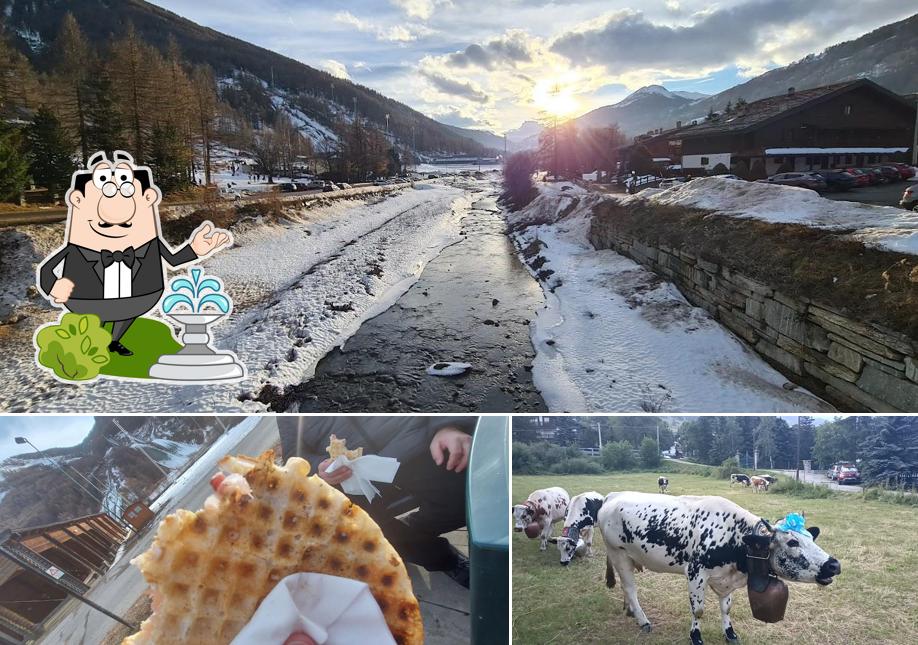 Tra le diverse cose da La Casetta Dei Gofri si possono trovare la esterno e cibo