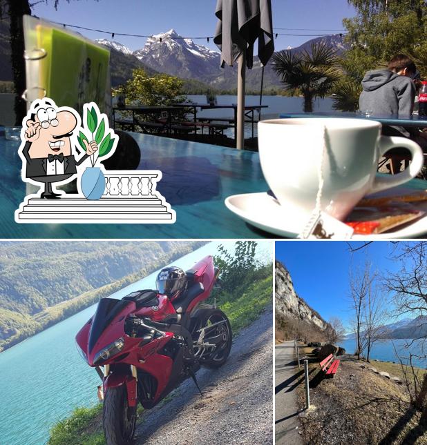 Gli esterni di Lago Mio