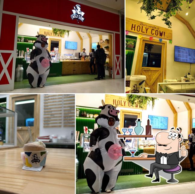 Holy Cow!