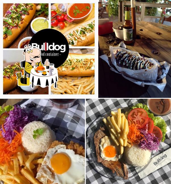 Bulldog Food Container