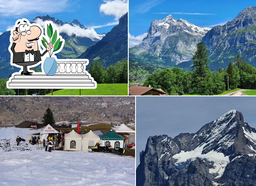 Guarda gli esterni di Holzerbar