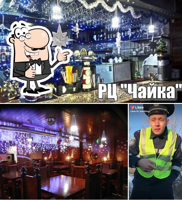 Чайка
