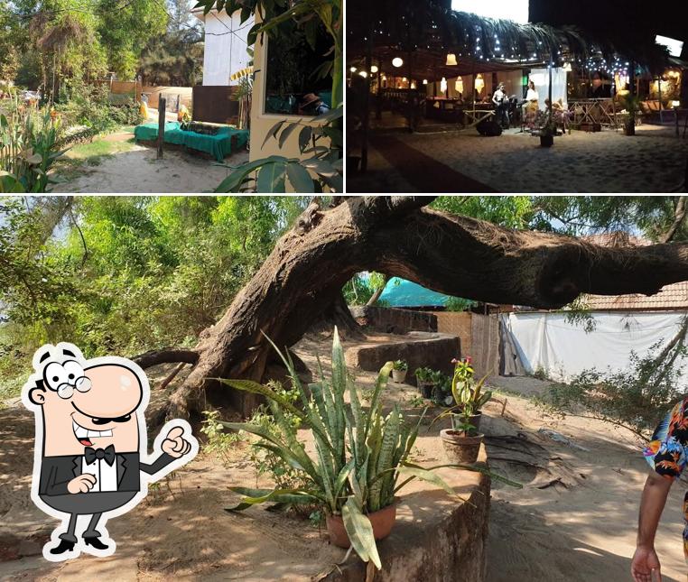 Check out how Orion Beach Restaurant looks outside