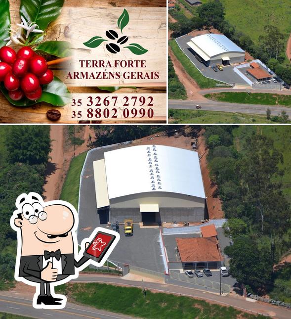 Terra Forte Armazéns Gerais
