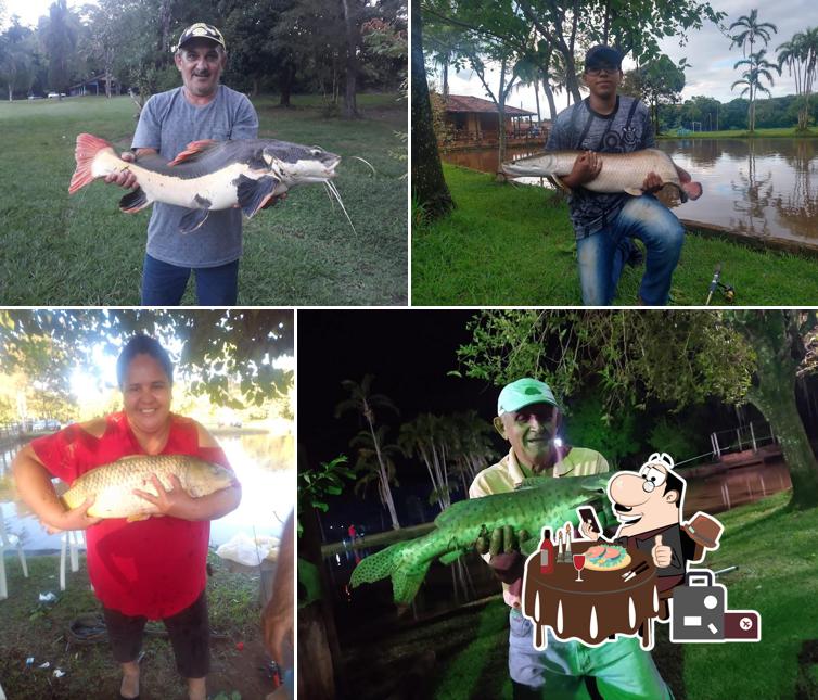 Kinta Brasil Pesca Esportiva