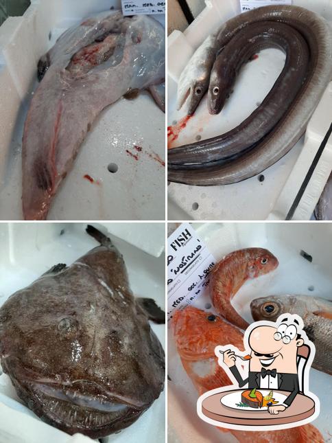 Fish Experience