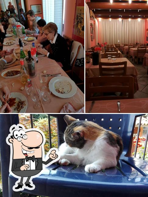 Dai un'occhiata agli interni di Da Angelo Specialità Marinare