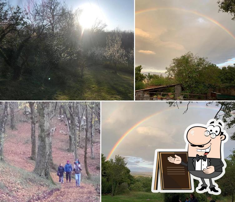 Agriturismo Borgo Cerquelle