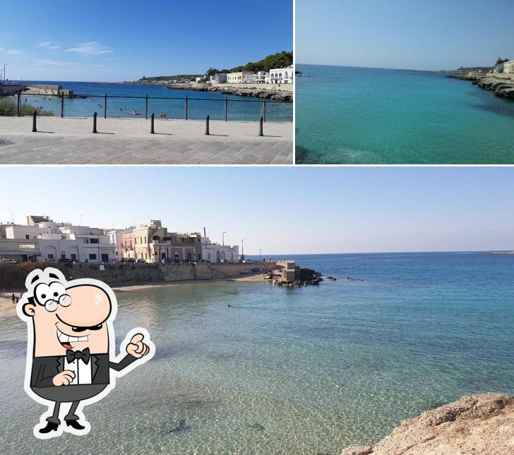 Puoi goderti l'aria fresca da seduto all'esterno di Il Pergolino