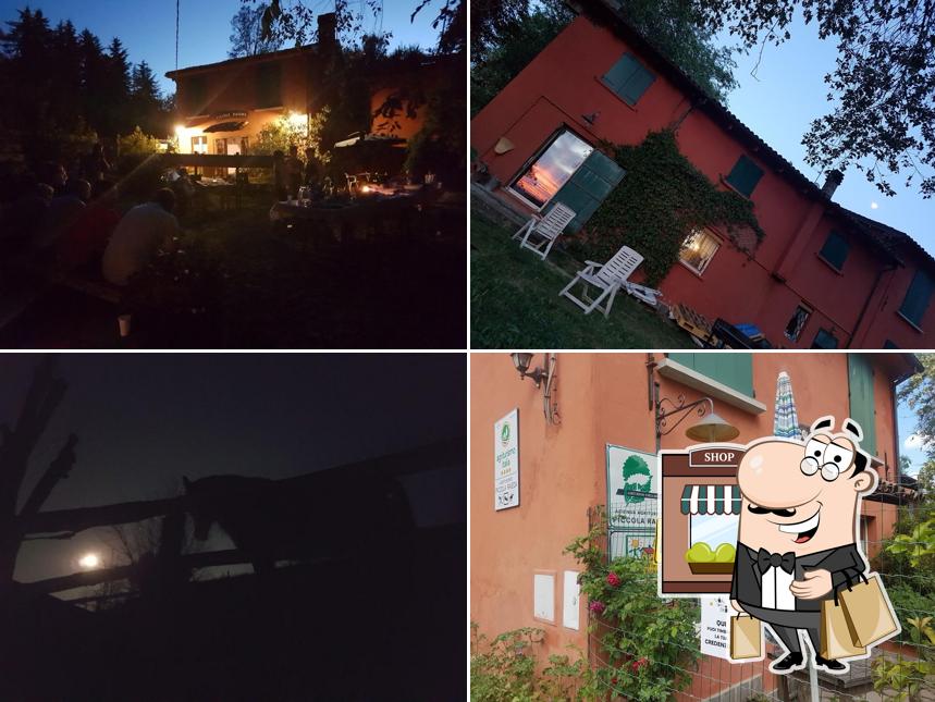 Curiosa tra gli esterni di Agriturismo Piccola Raieda