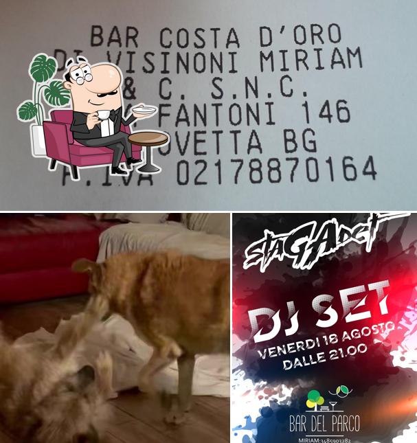 Gli interni di Bar del Parco