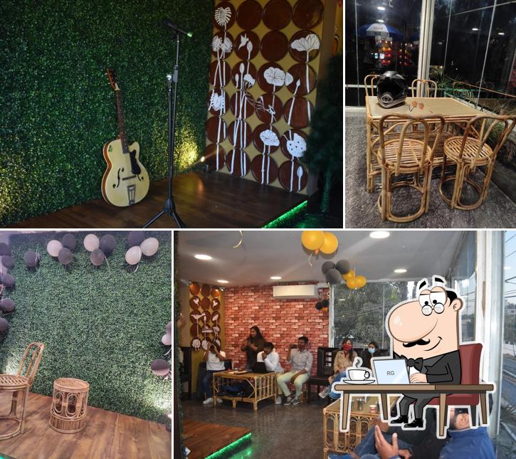 Roots (Live modern. Love tradition)