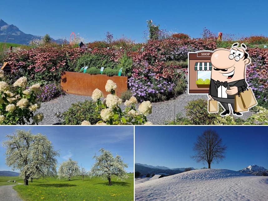 Gli esterni di Gasthaus Badhof & Golf Meggen